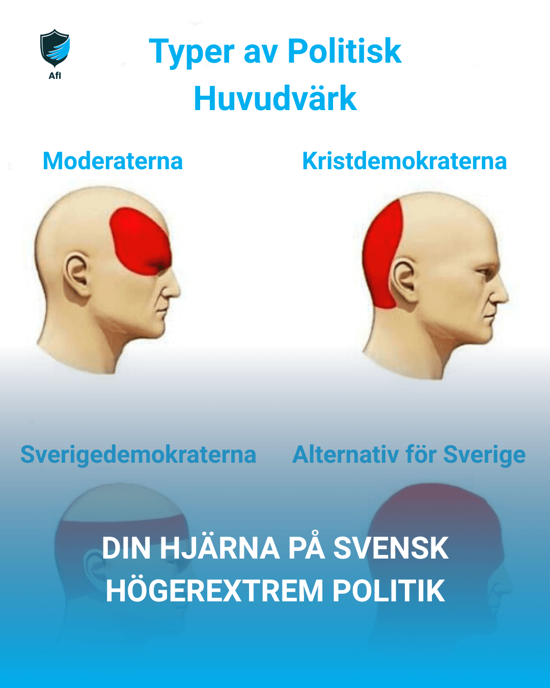 Your Brain on Swedish Far-Right Politics