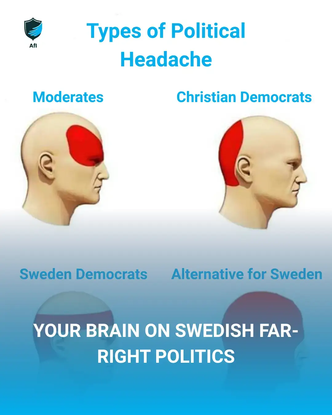 Your Brain on Swedish Far-Right Politics